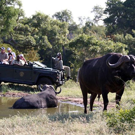 Willa Umlani Bushcamp Timbavati Game Reserve Zewnętrze zdjęcie