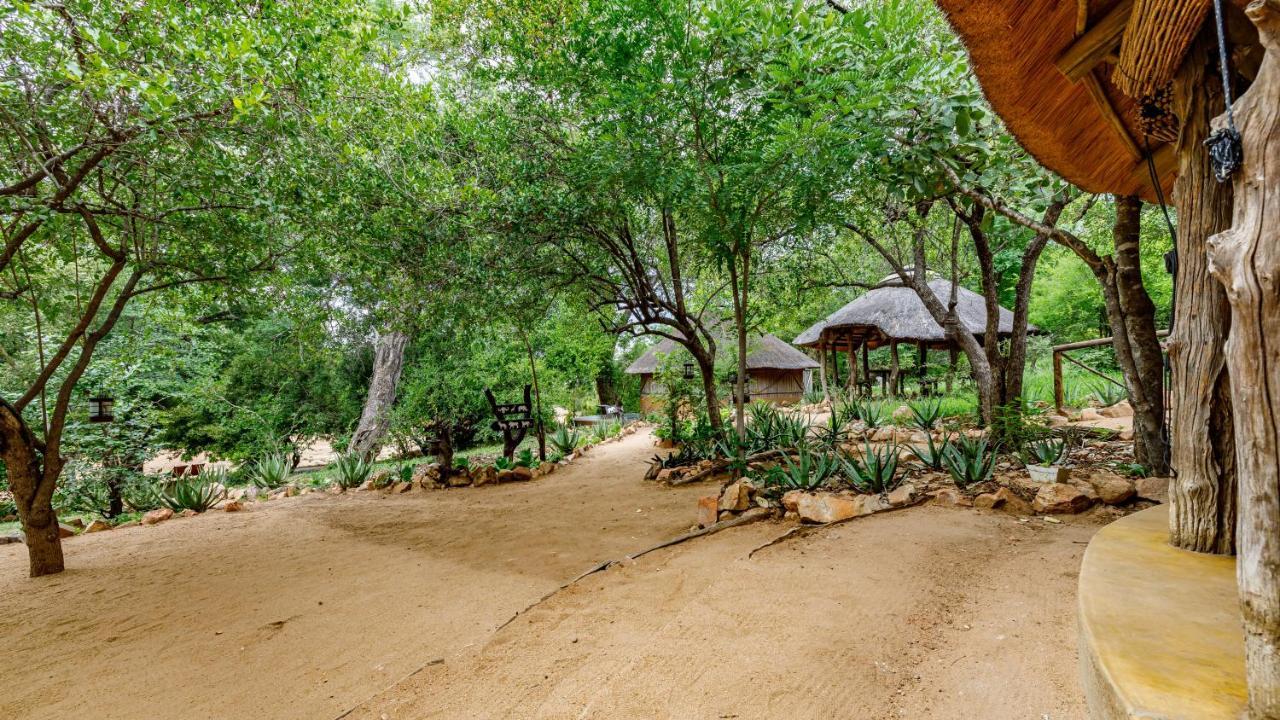 Willa Umlani Bushcamp Timbavati Game Reserve Zewnętrze zdjęcie