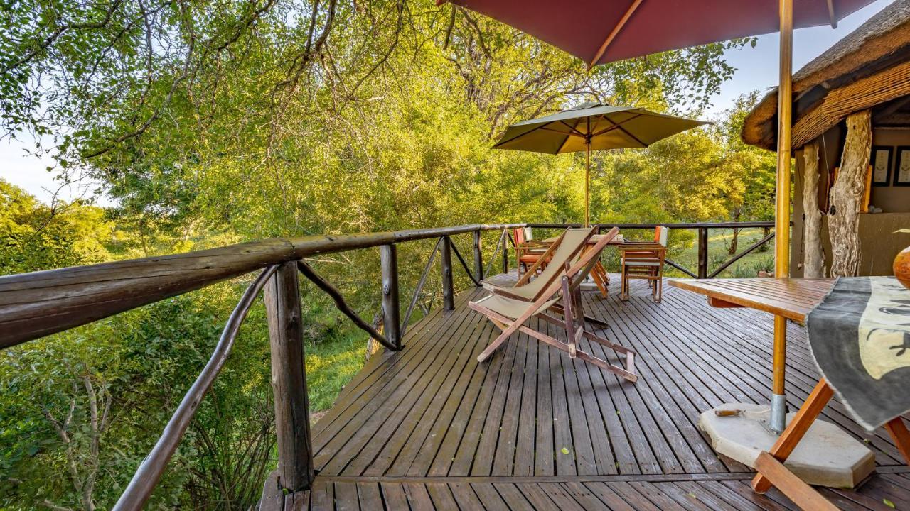 Willa Umlani Bushcamp Timbavati Game Reserve Zewnętrze zdjęcie