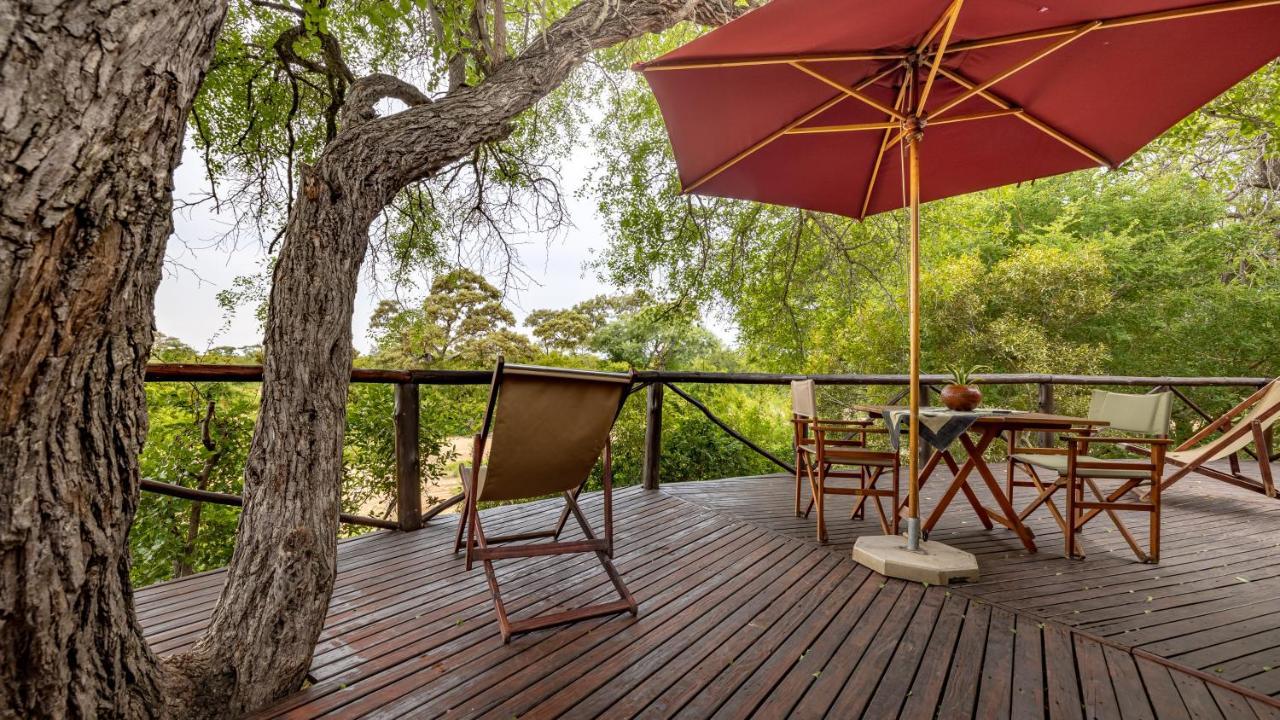 Willa Umlani Bushcamp Timbavati Game Reserve Zewnętrze zdjęcie