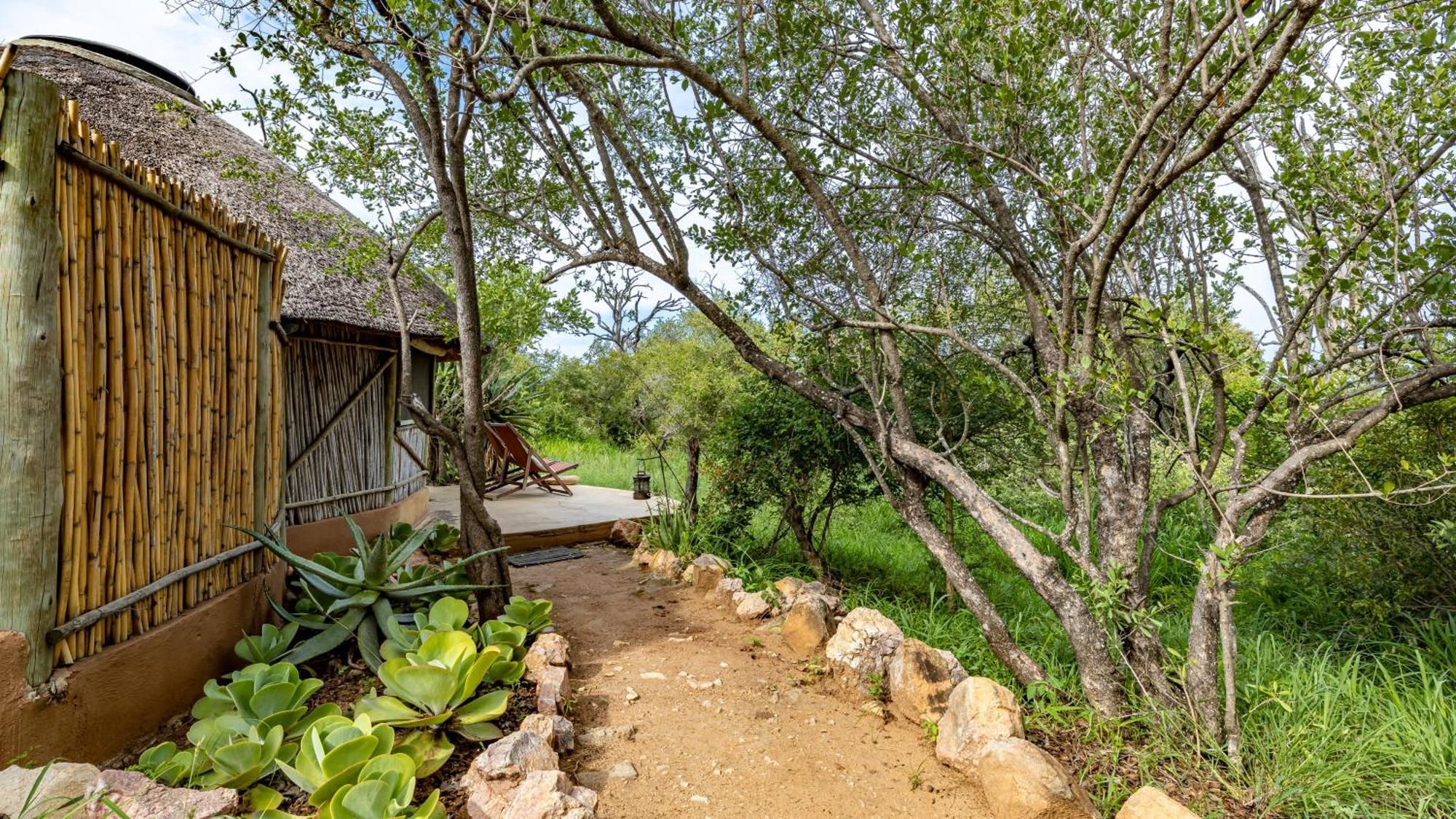 Willa Umlani Bushcamp Timbavati Game Reserve Zewnętrze zdjęcie