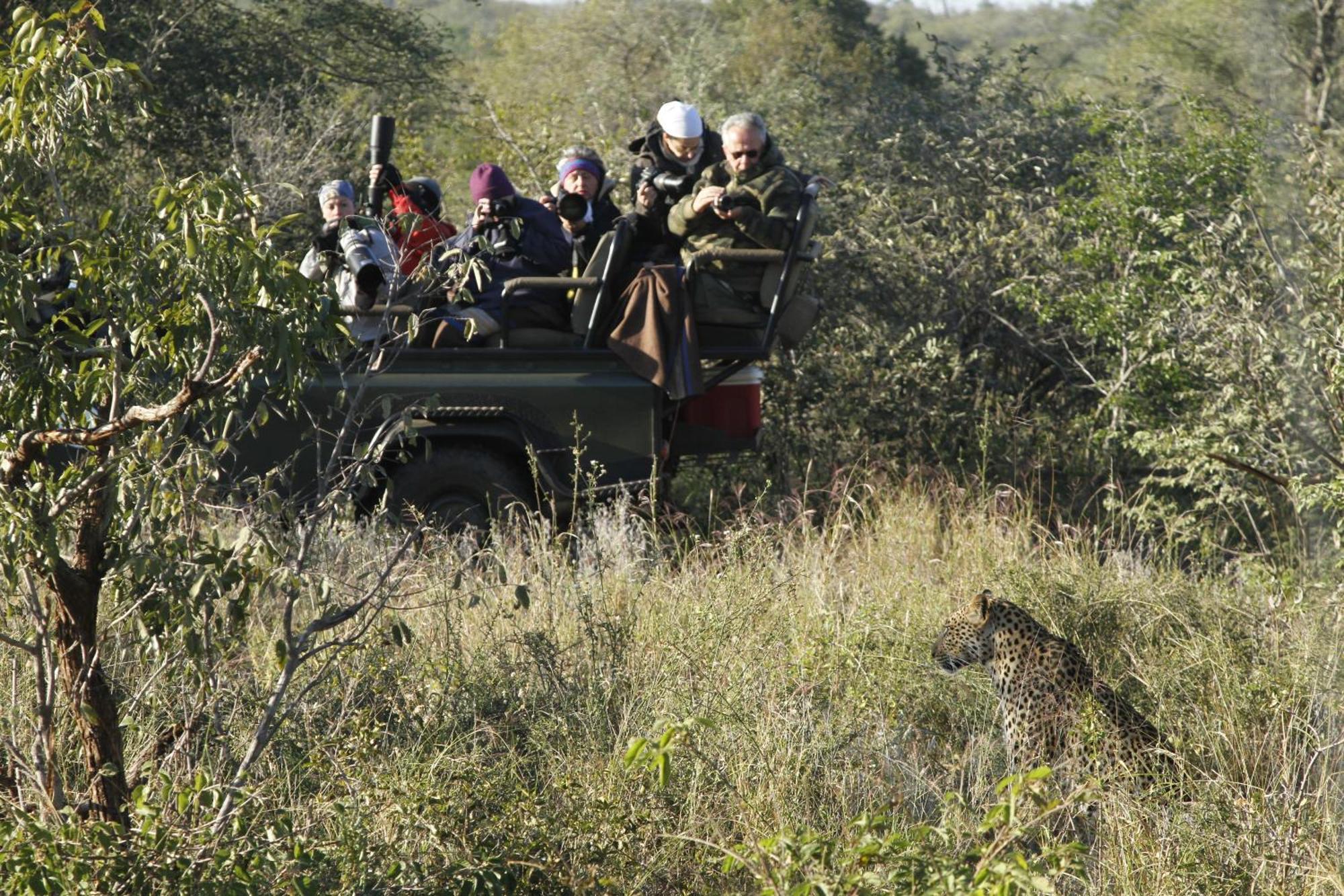 Willa Umlani Bushcamp Timbavati Game Reserve Zewnętrze zdjęcie