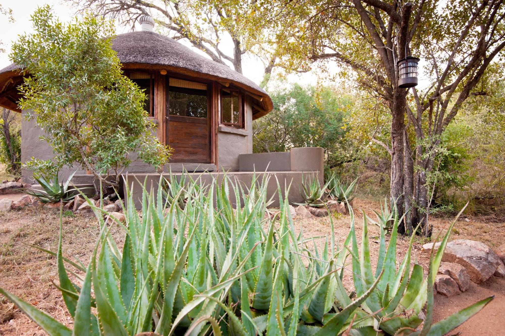 Willa Umlani Bushcamp Timbavati Game Reserve Zewnętrze zdjęcie