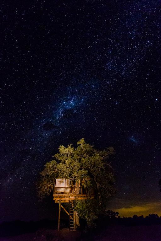 Willa Umlani Bushcamp Timbavati Game Reserve Zewnętrze zdjęcie