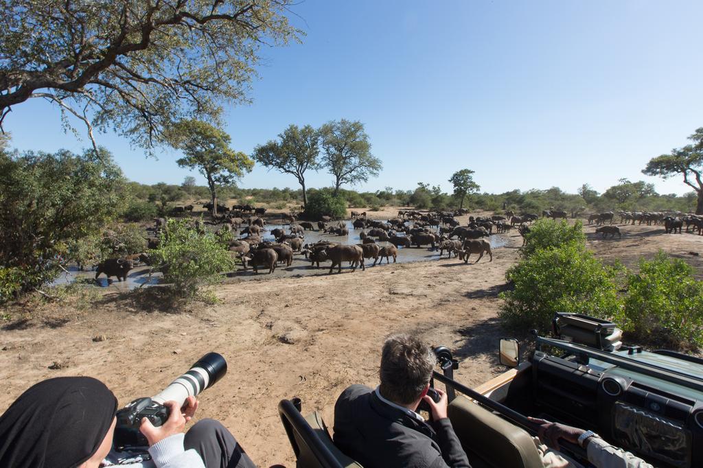 Willa Umlani Bushcamp Timbavati Game Reserve Zewnętrze zdjęcie