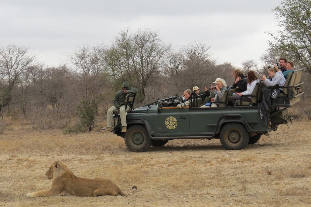 Willa Umlani Bushcamp Timbavati Game Reserve Zewnętrze zdjęcie