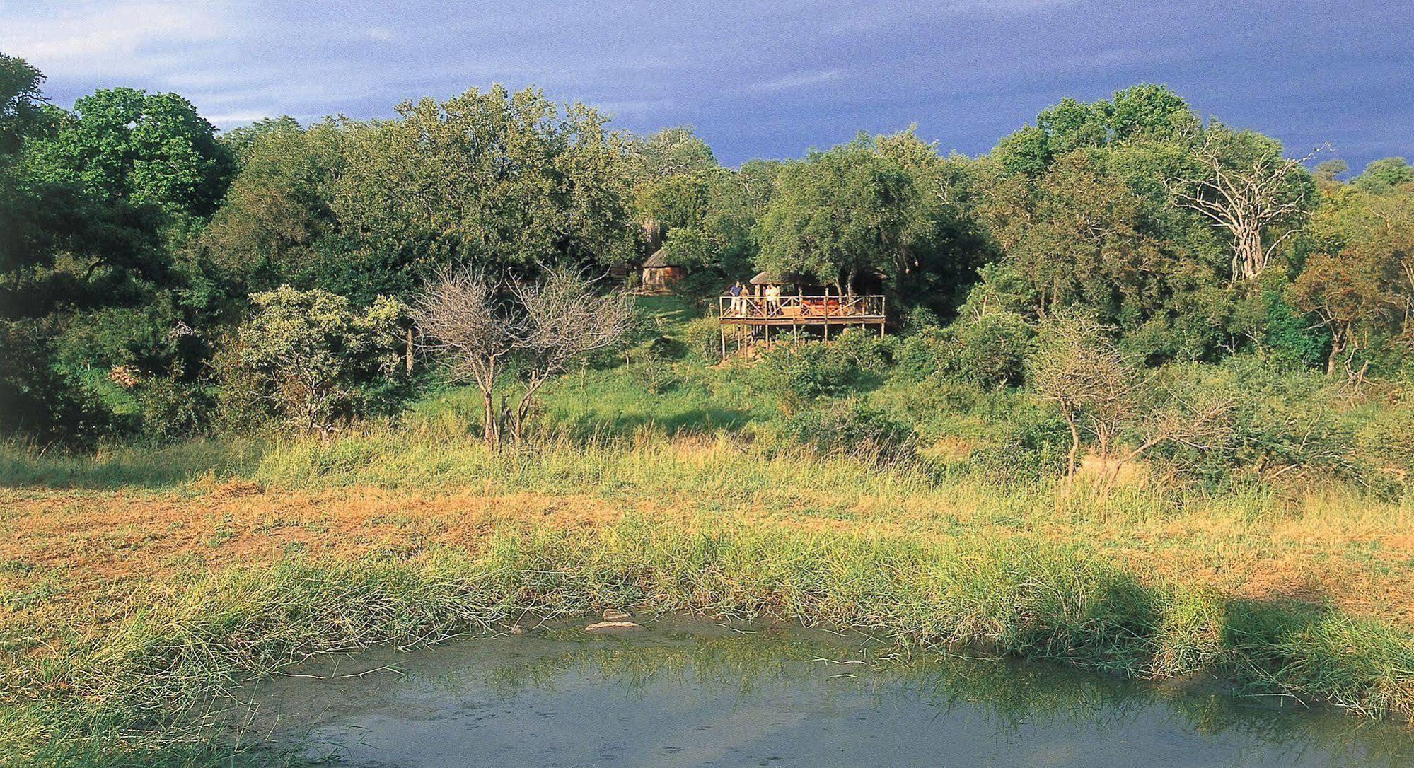 Willa Umlani Bushcamp Timbavati Game Reserve Zewnętrze zdjęcie